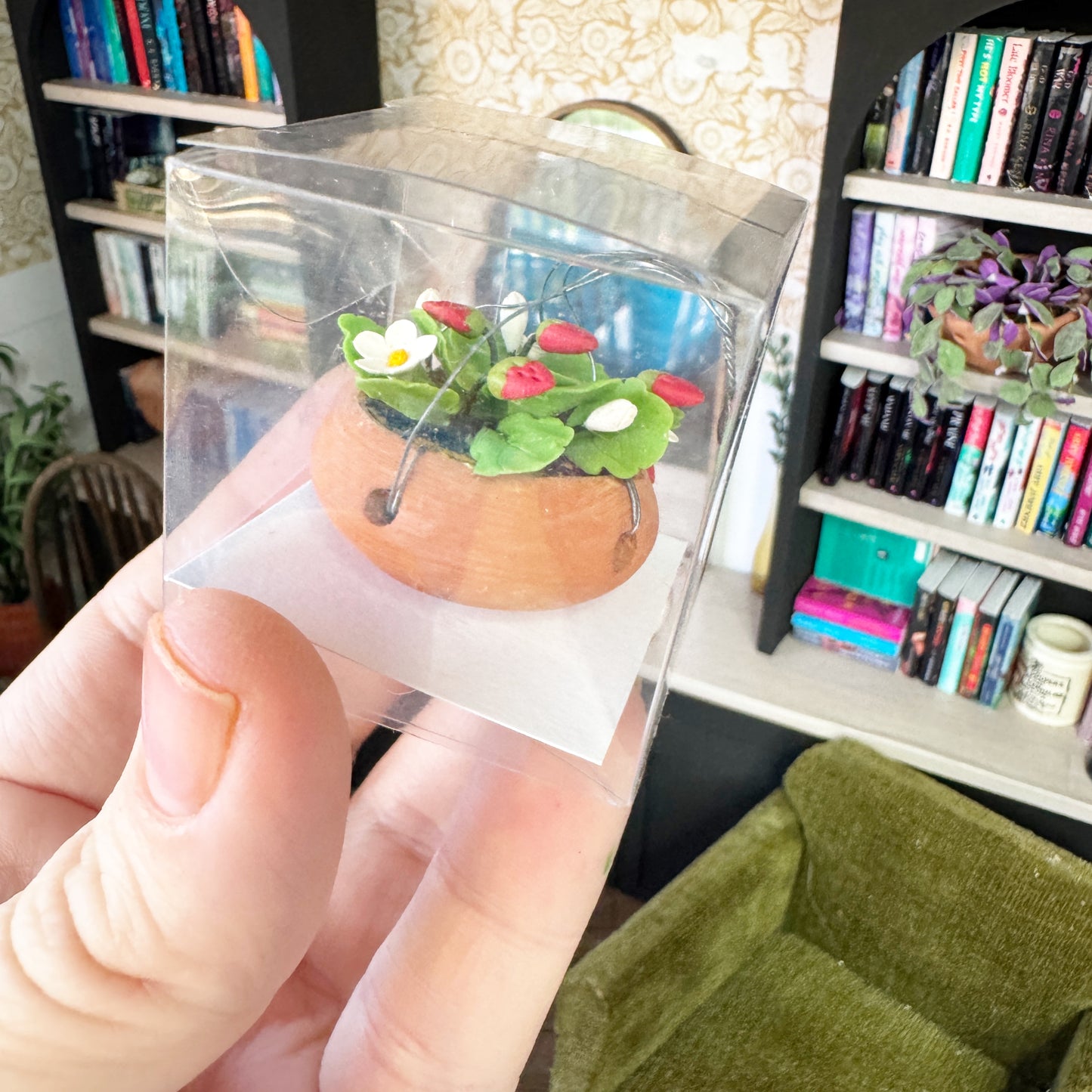 Hanging Stawberry Plant