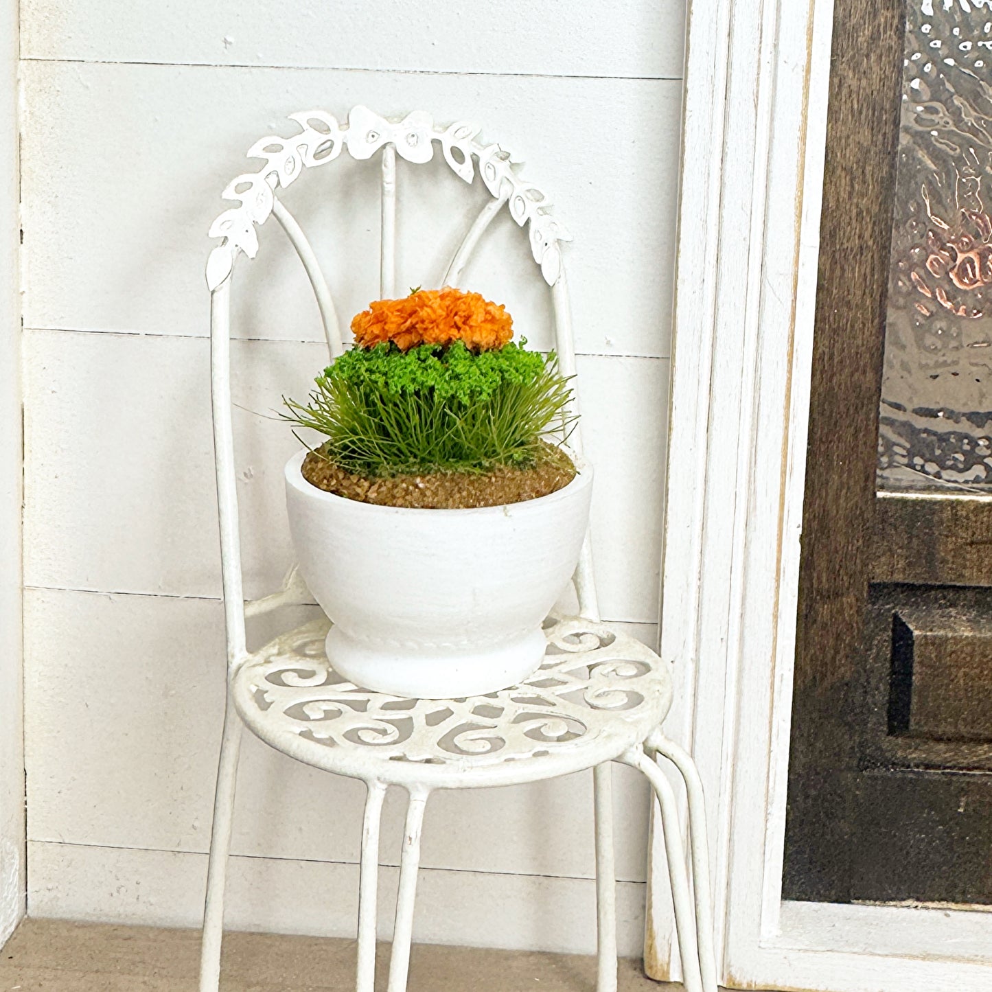 Orange Potted Flower