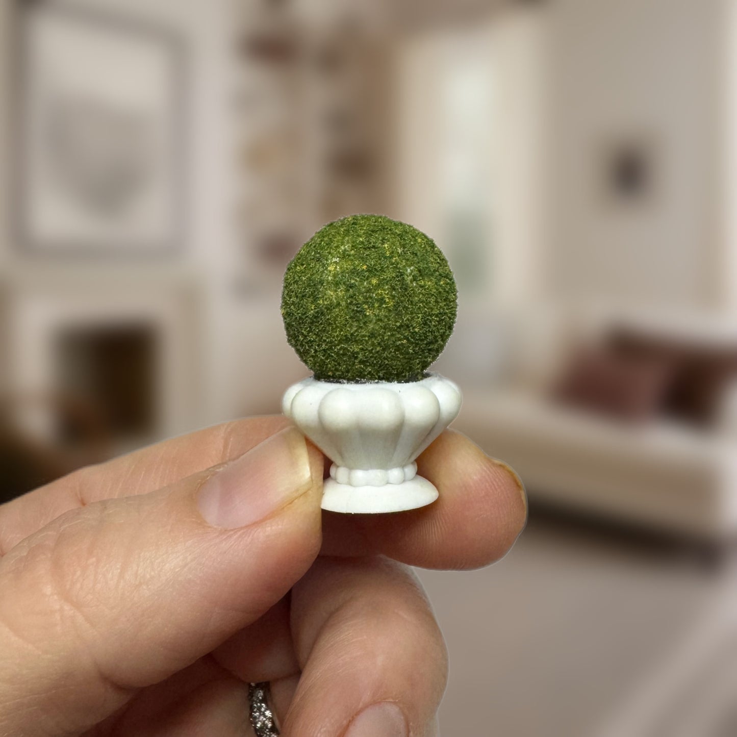 Boxwood Topiary