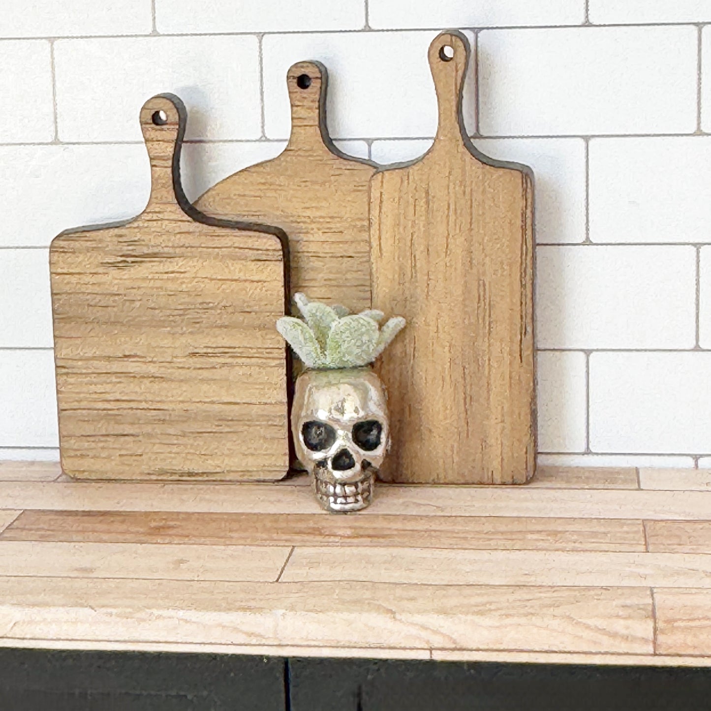 Skeleton Succulent
