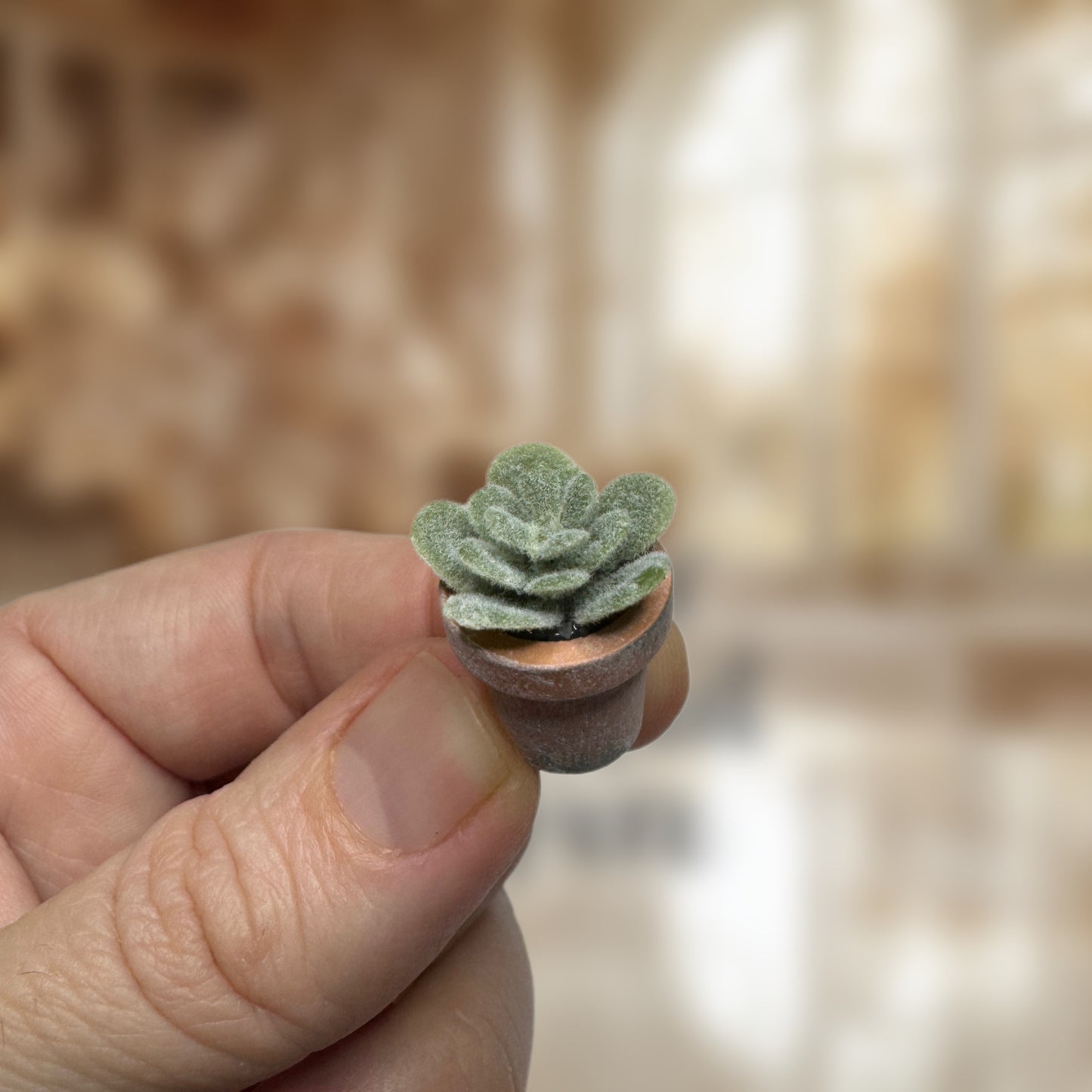 Potted Plant