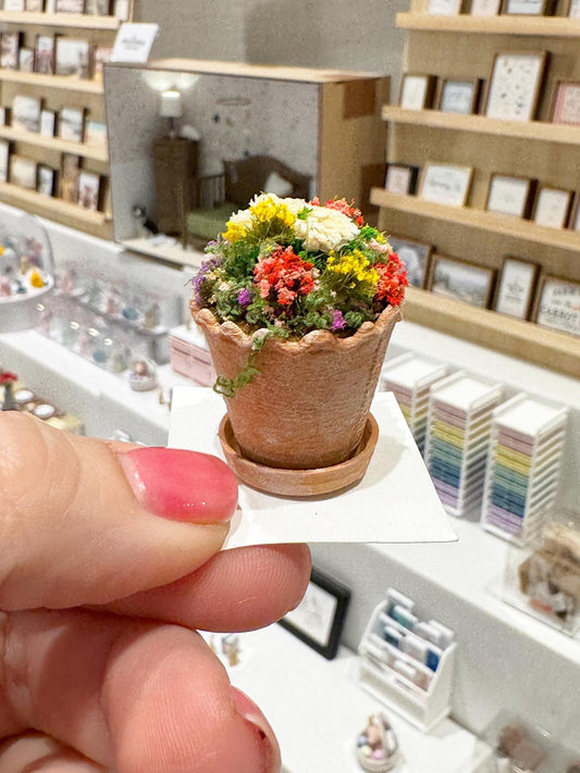 Potted Flowers