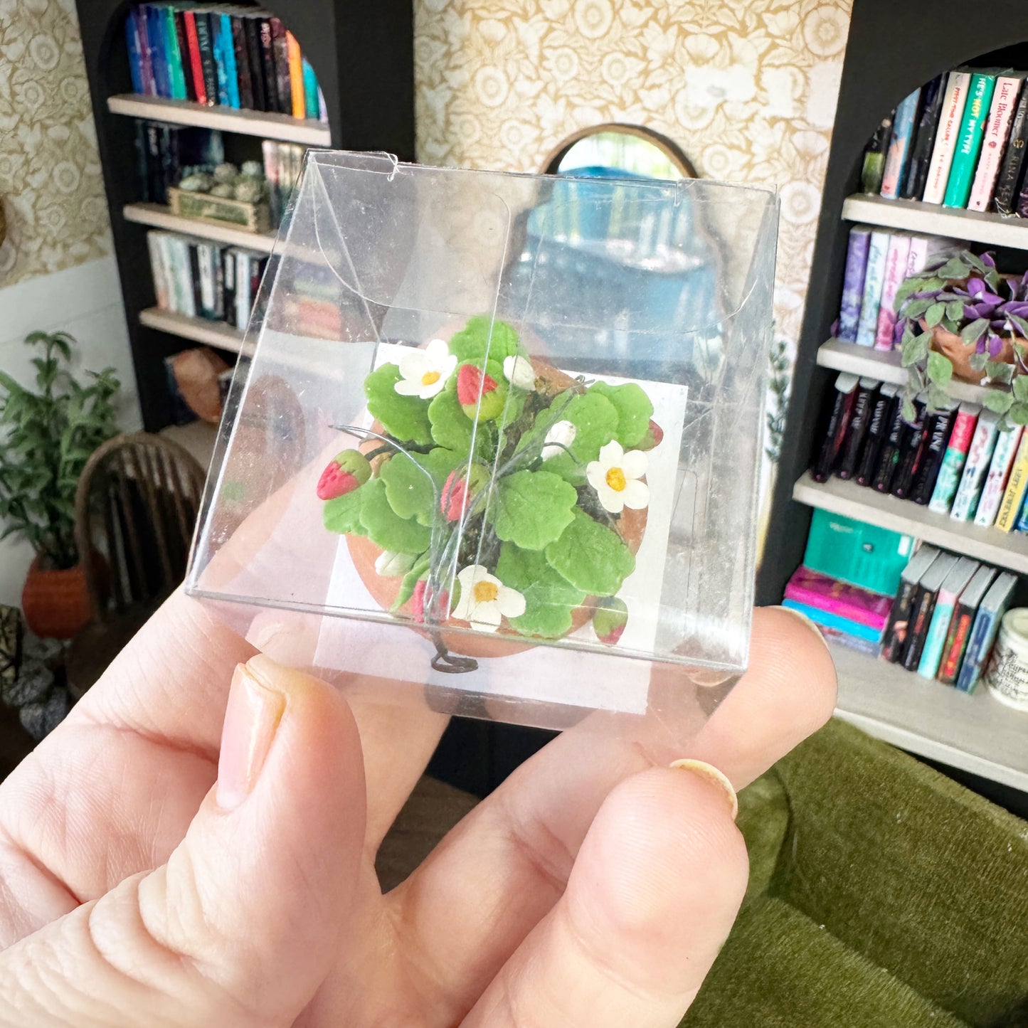 Hanging Stawberry Plant
