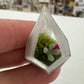 Terrarium