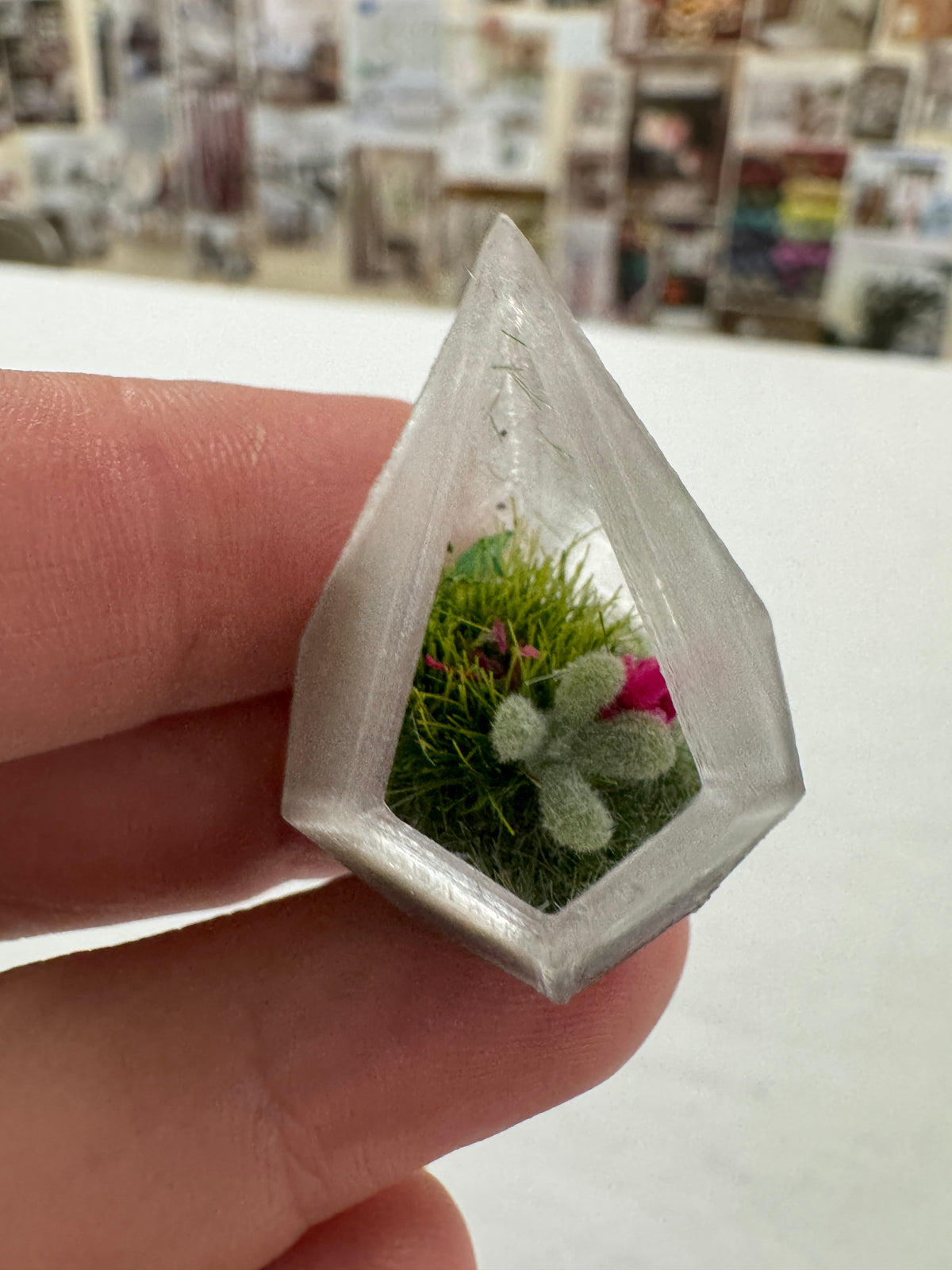 Terrarium