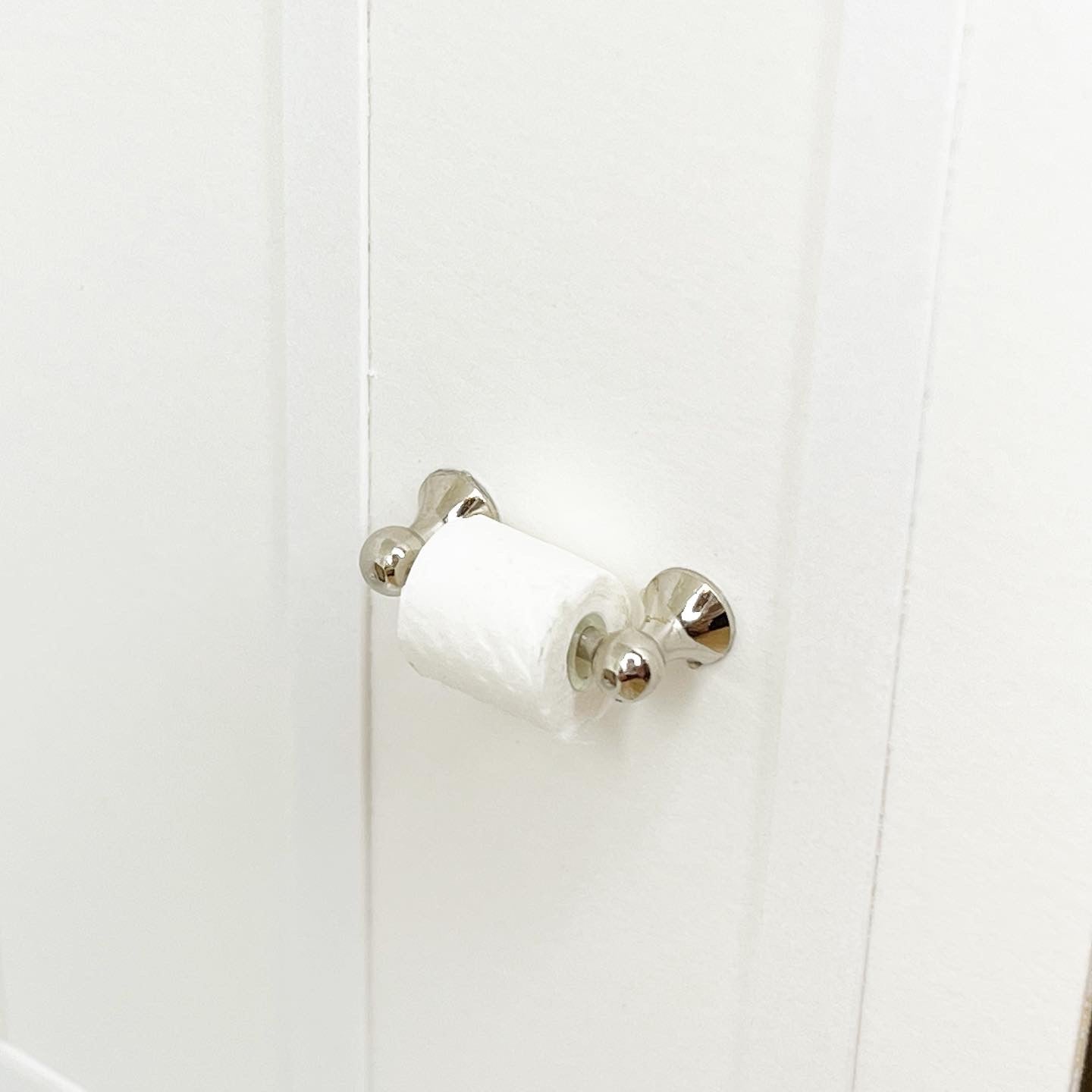 Toilet Paper and Holder