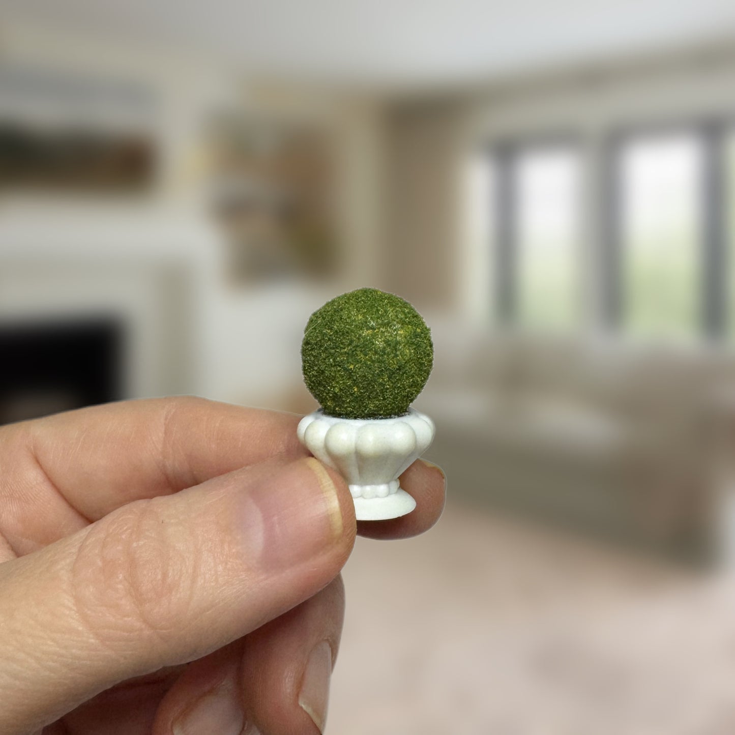 Boxwood Topiary
