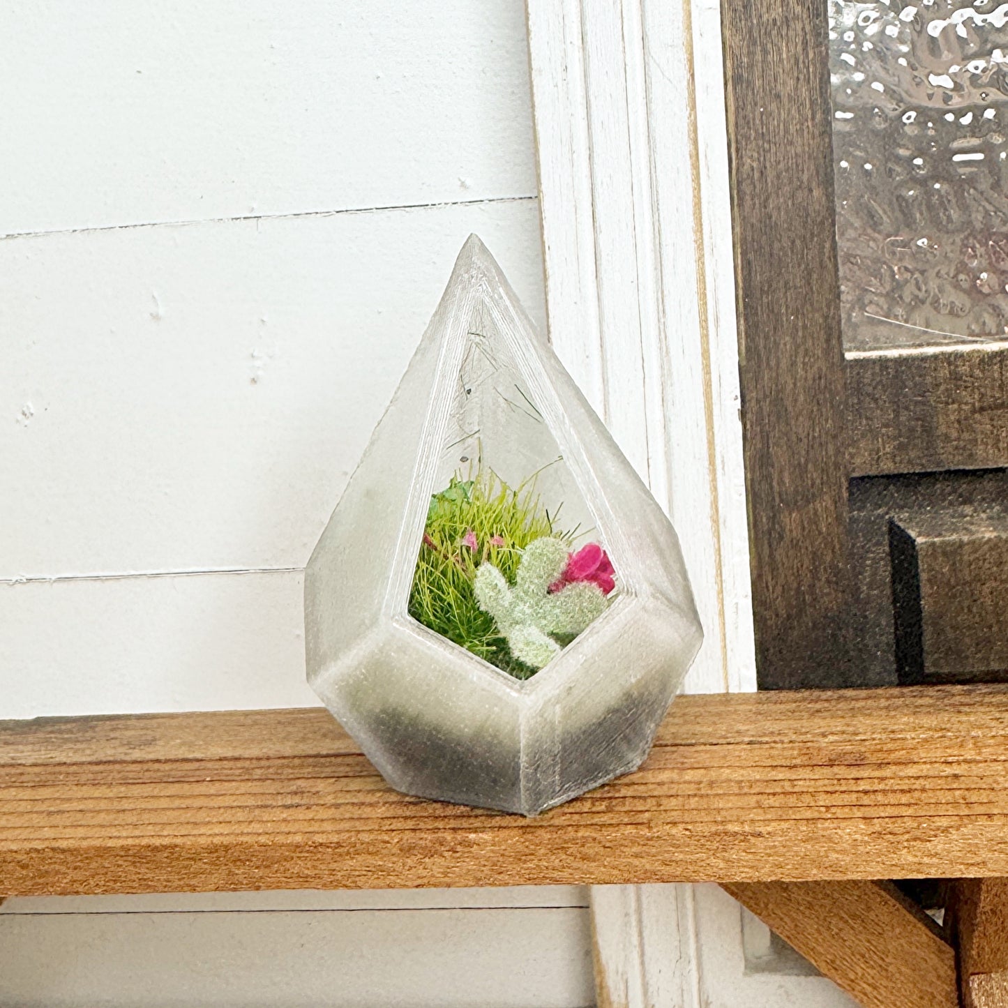 Terrarium with Plants
