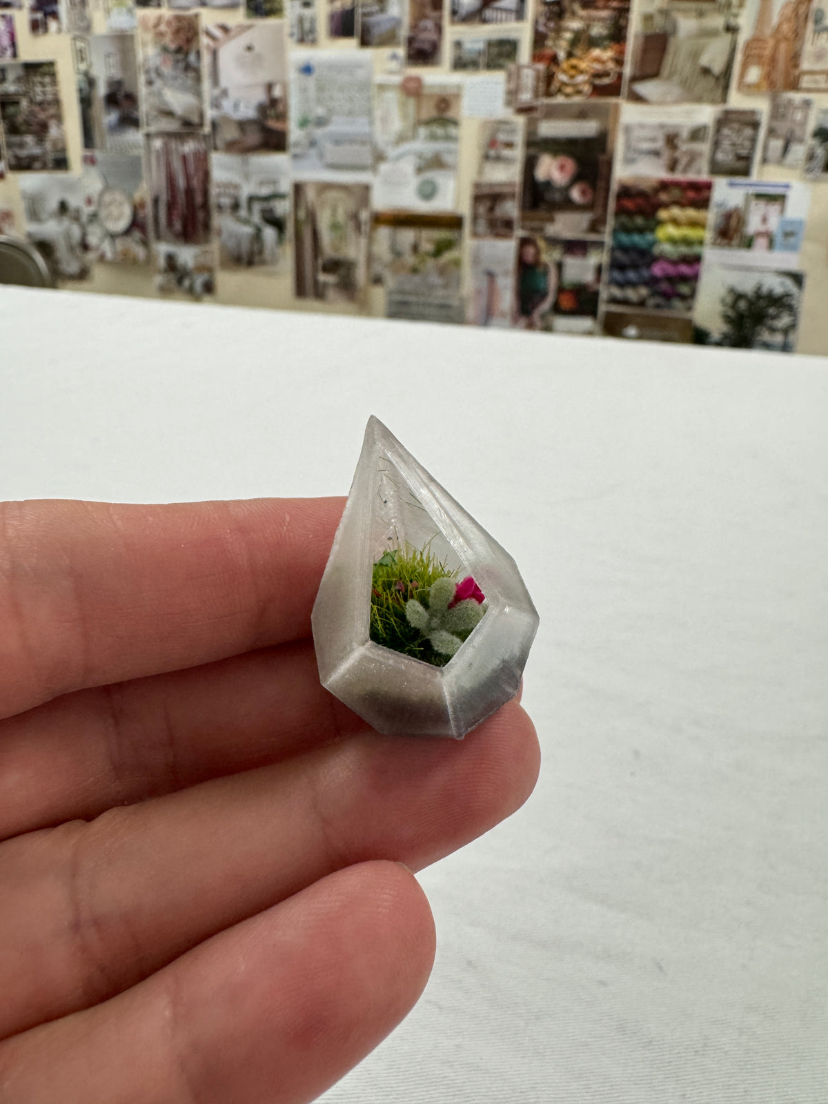 Terrarium
