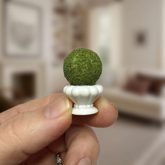 Boxwood Topiary