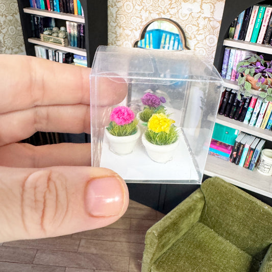Potted Flowers