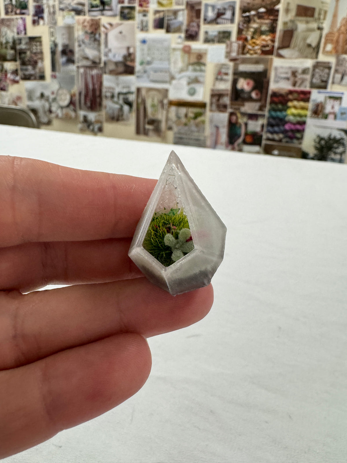 Terrarium