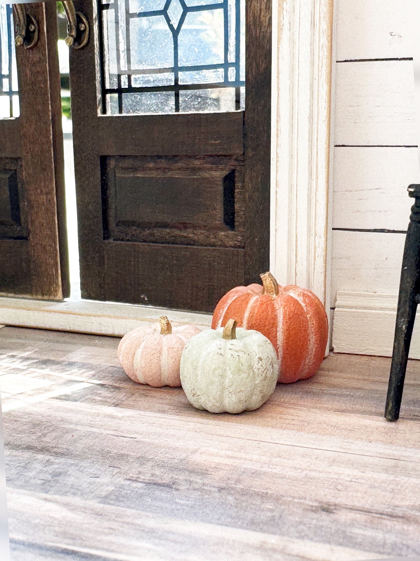 Pumpkin Set