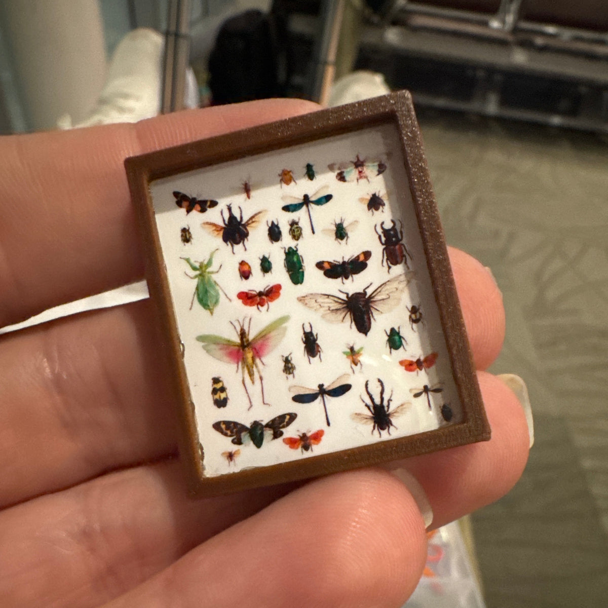 Insect Wall Art