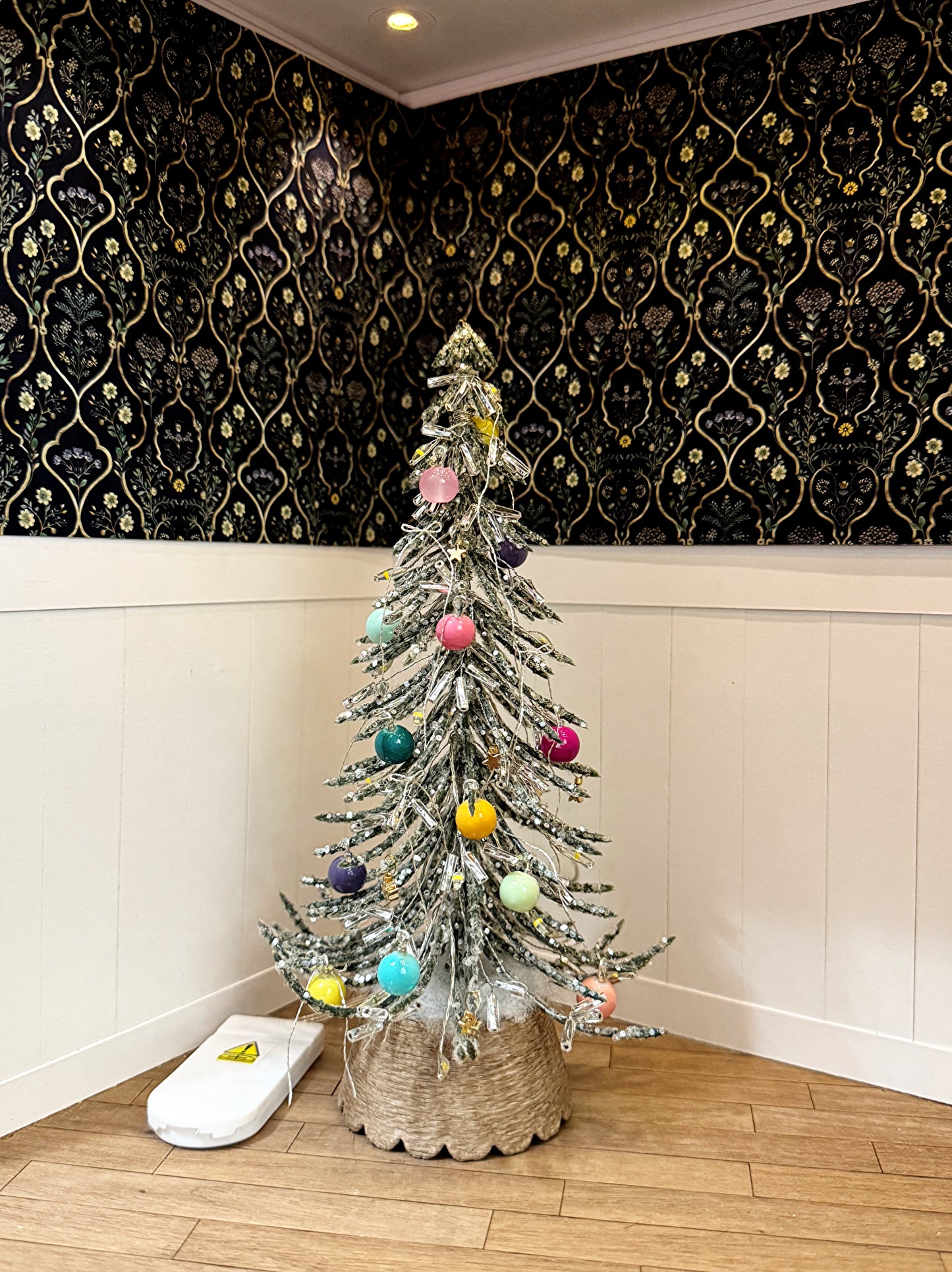 Christmas Tree - Stargazer