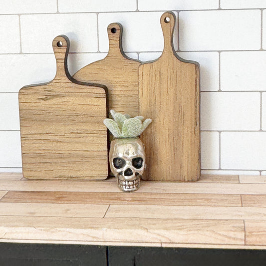 Skeleton Succulent