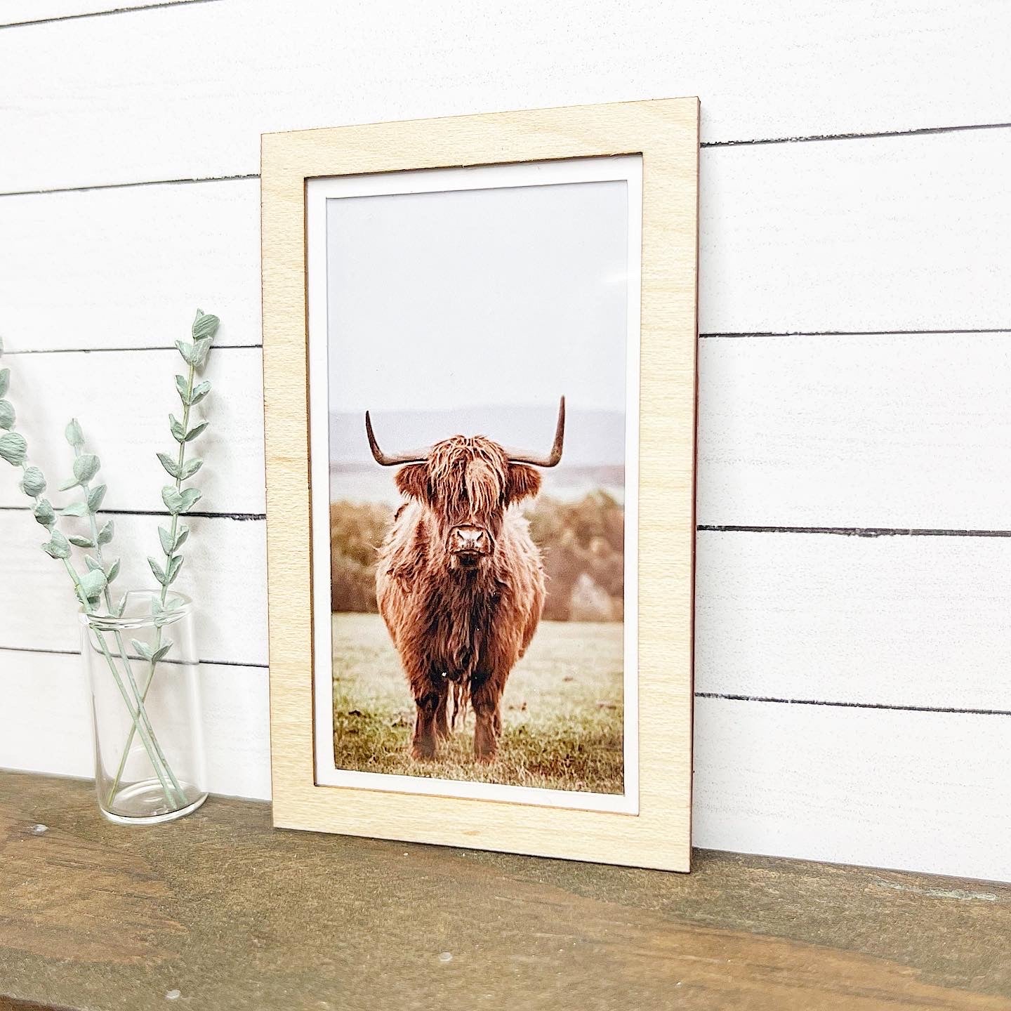 Highland Cattle Wall Art