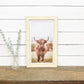 Highland Cattle Wall Art