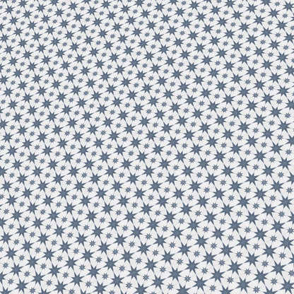 White and Blue Tile
