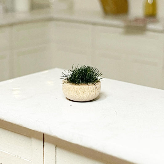 Dark Green Plant