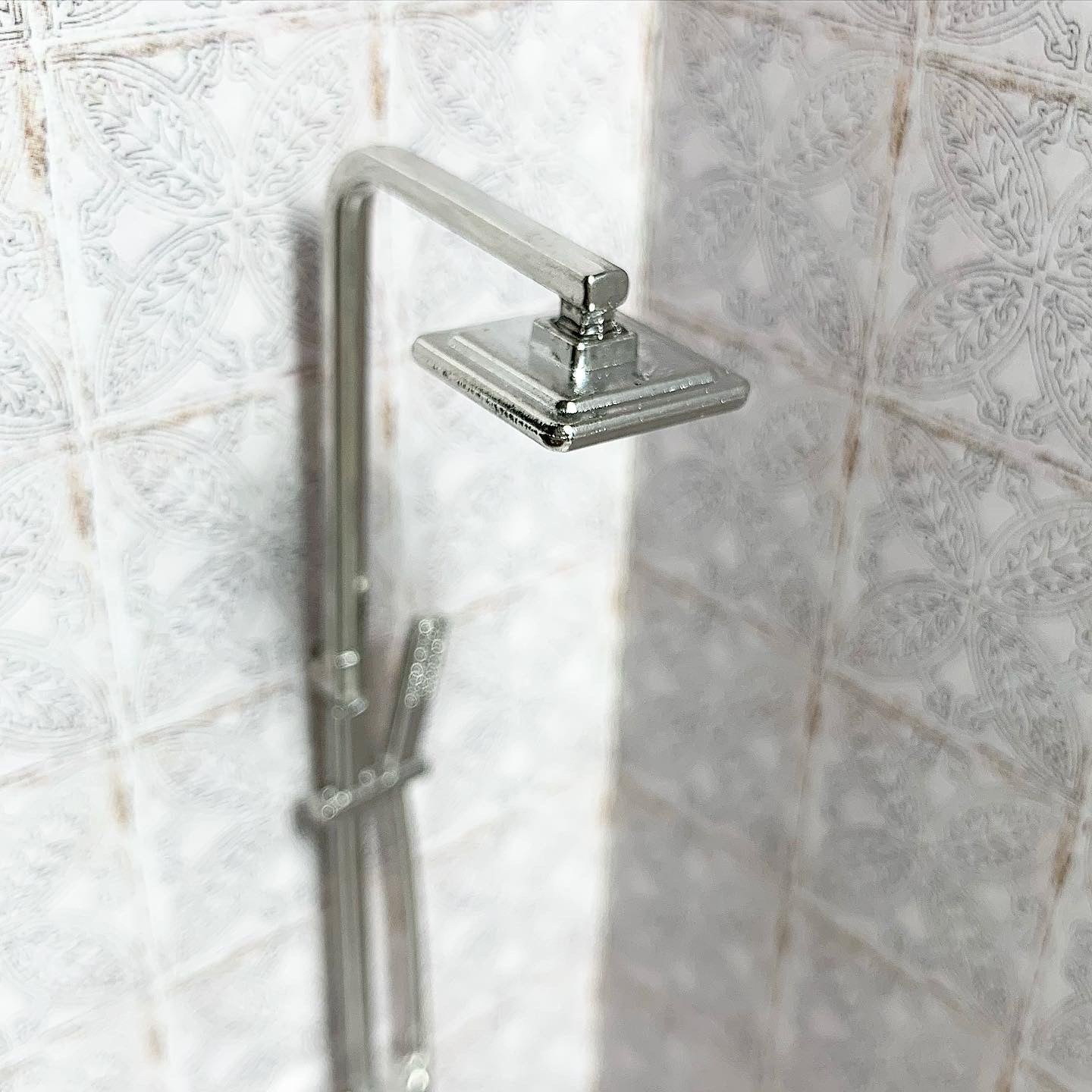 Silver Shower Head